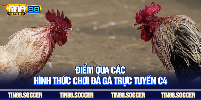 Điểm qua các hình thức chơi đá gà trực tuyến c4