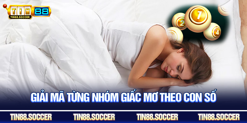 Giải mã từng nhóm giấc mơ theo con số
