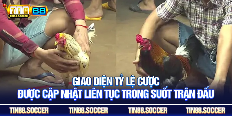 Giao diện tỷ lệ cược được cập nhật liên tục trong suốt trận đấu