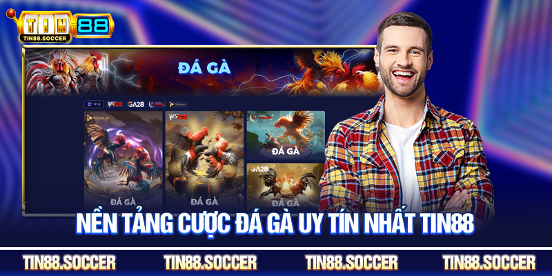 Nền tảng cược đá gà uy tín nhất Tin88