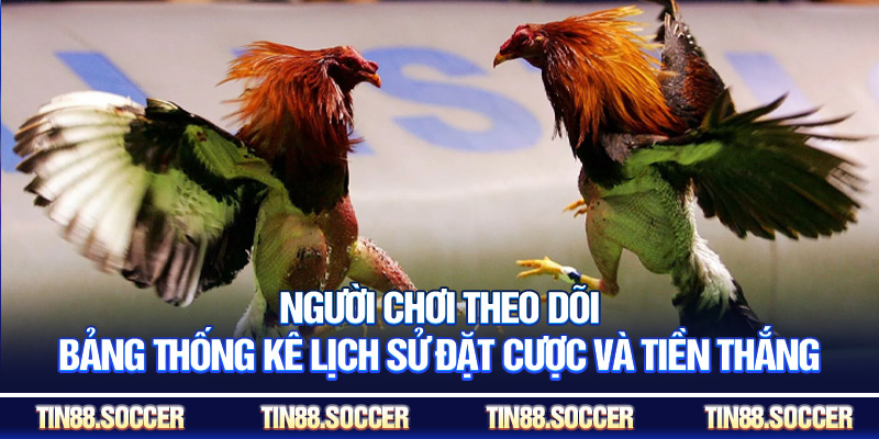 Người chơi theo dõi bảng thống kê lịch sử đặt cược và tiền thắng
