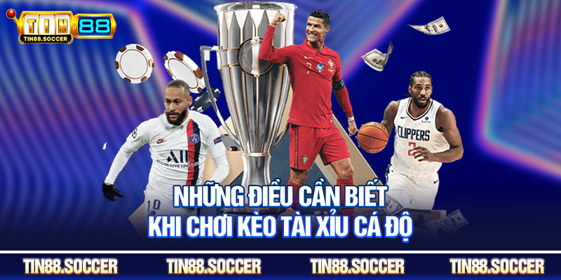 Những điều cần biết khi chơi kèo tài xỉu cá độ
