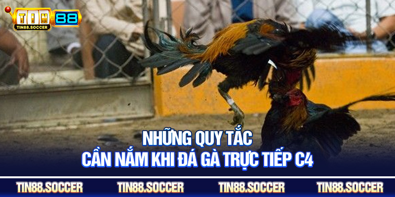 Những quy tắc cần nắm khi đá gà trực tiếp c4