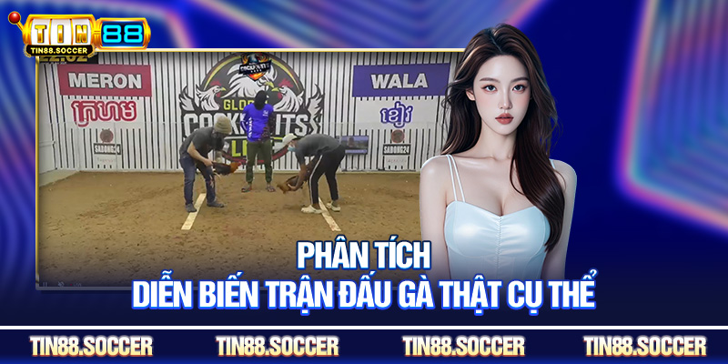 Phân tích diễn biến trận đấu gà thật cụ thể