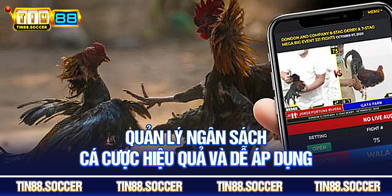 Quản lý ngân sách cá cược hiệu quả và dễ áp dụng