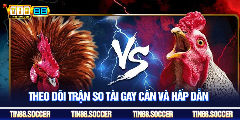 Theo dõi trận so tài gay cấn và hấp dẫn
