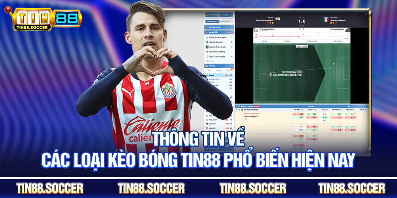 Thông tin về các loại kèo bóng Tin88 phổ biến hiện nay